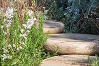 Escalier circulaire en bois menant à travers le jardin, avec plantation de Rosmarinus officinalis. Jardin: La chambre avec vue.