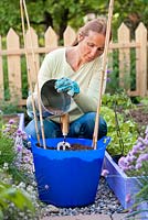 Femme plantant des tomates et du basilic en pot mobile. Ajout d'engrais organique.