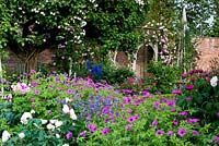 Geranium psilostemon, polemonium, roses et pivoines dans un parterre de fleurs hautement floral dans un jardin clos. Un siège de tonnelle rose en arrière-plan soutient Rosa Constance Spry. Seend, Wiltshire