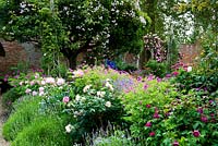 Coin de jardin clos classique anglais floral et coloré avec double roses roses et lavande sous le vieux pommier couvert dans un style rose décousu - Seend, Wiltshire