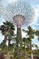 Super Tree par le Silver Garden, Gardens by the Bay, Singapour