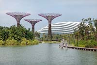 Supertrees et le Flower Dome par le Silver Garden, Gardens by the Bay, Singapour