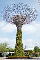 Supertree, Gardens by the Bay, Singapour