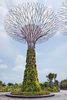 Supertree, Gardens by the Bay, Singapour