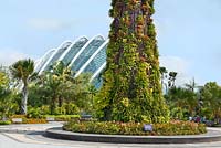 Supertree au Golcen Garden avec la forêt de nuages, Gardens by the Bay, Singapour