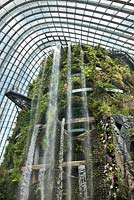 La cascade dans la forêt de nuages, Gardens by the Bay, Singapour