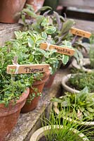 Étiquettes utilisées pour Thymus, Mentha et Salvia.