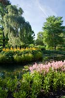 Ligularia stenocephala 'The Rocket' avec Carex elata 'Aurea' et Astilbe 'Venus au Longstock Park Water Gardens en juillet