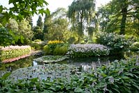 Astilbe 'Amethyst' avec Filipendula kamschatica et Hosta fortunei 'Albopicta à Longstock Park Water Gardens