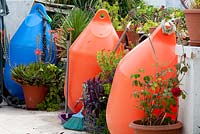 Succulentes et Rosa en terre cuite et pots recyclés dans un jardin d'été en bord de mer méditerranéen avec de vieux flotteurs de pêche