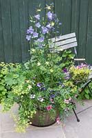Les plantes comprennent le Dianthus 'Diana Lavender Picotee', Polemonium caeruleum, Alchemilla mollis, Aquilegia, Campanula et Lathyrus odoratus