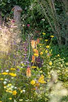Herbes et plantes vivaces naturalistes, y compris Ammi majus, Hemerocallis, Helenium et Kniphofia - Le Jordans Wildlife Garden, RHS Hampton Court Flower Show 2014