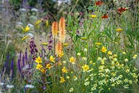 Herbes et plantes vivaces naturalistes, y compris Hemerocallis, Salvia nemerosa, Helenium et Kniphofia - Le Jordans Wildlife Garden, RHS Hampton Court Flower Show 2014