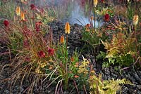 La plantation comprend Kniphofia 'Tetbury Torch', Achillea 'Walter Funke' et Achillea 'Terracotta' avec de la fumée, de la lave et des cendres sur le thème du volcan - Eruption of Unhealed Anger, RHS Hampton Court Flower Show 2014