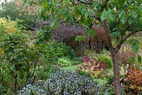 Jardin d'automne avec lustre extérieur, prunus, sedum et plectranthus