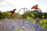 Oiseaux sculpturaux en métal rouillé au-dessus des bleuets massés - Centaurea cyanus