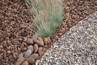 The Flintknapper's Garden - A Story of Thetford - view of mulch pine cones and gravel path with planting of Festuca glauca Blaufuchs - Designer - Luke Heydon - Sponsor - Thetford business