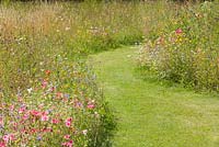 La prairie fleurie. Hall Farm Garden à Harpswell près de Gainsborough dans le Lincolnshire. Juillet 2014.