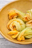 Cucurbita - fleurs de courgettes comestibles récoltées pour la cuisson