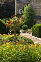 Parterre avec parterres bordés de boîtes. Rose standard 'Souvenir' et mixtes annuelles et herbes. Hall Farm Garden à Harpswell près de Gainsborough dans le Lincolnshire. Août 2014.