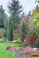 Parterre d'automne avec différentes espèces de plantes à feuilles caduques, éricacées et conifères