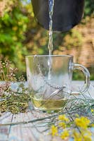 Faire du thé au fenouil - Ajouter de l'eau bouillante