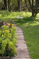 Petite voie en pierre bordée d'Euphorbe et de tulipes mixtes au printemps