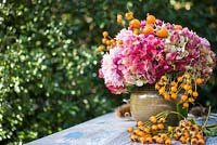 Exposition florale automnale de cynorrhodons de Rosa 'The Generous Gardener' et Rosa polyantha 'Grandiflora '.