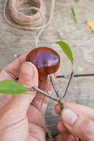 Insérez la coupe Prunus à l'intérieur du Conker, en vous assurant que la ficelle de jute excédentaire est disponible.