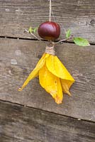 Conker Fairy. Les matériaux utilisés sont Aesculus hippocastanum - Conkers, ficelle de jute, feuilles automnales et une coupe Prunus.