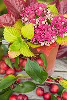 Affichage floral d'hortensia, de pommes sauvages et de parthénocisses en pot en terre cuite