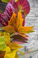 Couronne de feuilles d'automne faite d'un mélange de feuilles, accrochée à un fond en bois.