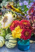 Exposition automnale de chrysanthèmes, Helianthus - Tête de graine de tournesol, Asters et courge 'Sweet Dumpling'