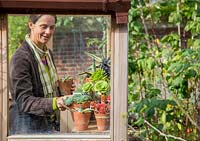 Femme stockant des plantes tendres dans une serre pour les mois d'hiver. Echeveria