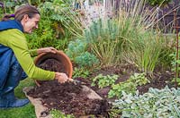 Réutilisation du compost en pot usé comme paillis pour un parterre de jardin