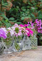 Un étalage floral d'annuelles mixtes. Composé de Pelargoniums parfumés, Verveine, Scaevola aemula 'Topaz Pink' et Bacopa 'Double Ballerina Pink' Scopia series