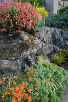 Plantation de rocailles avec Euphorbia, Erysimum et Helianthemum Victoria BC, Canada