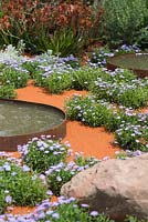 La plantation de parterre de fleurs de Brachys vient parmi les blocs de rochers et les plans d'eau. Jardin: Essence d'Australie. RHS Hampton Flower Show 2014