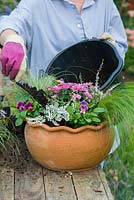 Planter un pot potager. Remplissez le pot de terreau et raffermissez pour sécuriser les plantes.