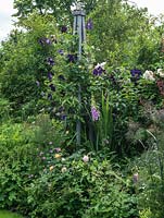 Un parterre de roses et de vivaces d'été autour d'un obélisque supportant des clématites.