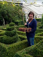 Louise Elliot, jardinière en chef à Bignor Park, debout dans le parterre avec un panier de boutures semi-mûres prises en automne.