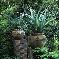 Sur des piliers en brique à l'entrée ombragée du jardin de la ville, 2 pots en terre cuite d'Astelia chathamica Silver Spear, une plante vivace exotique.