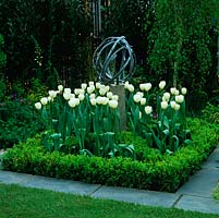 Parterre de fleurs carré formel, entourage pavé, avec boîte entourant des tulipes blanches s'élevant autour de la sculpture moderne.
