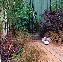 Terrasse en bois bordée de sureau violet, phormium et heuchera, bambou noir, Carex comans Bronze.