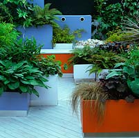 Jardin mobile et modulaire pour petites surfaces. Plantes - hostas, heuchera, bambou, fougère, fatsia, lierre et Carex comans Bronze.