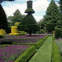 Levens Hall, le plus ancien jardin topiaire du monde - Vers le 17e siècle. 90 morceaux coupés d'if - Taxus baccata et Aurea et boîte découpée en formes - paons, personnages ou pièces d'échecs.