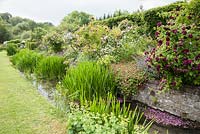 Des roses à l'ancienne pendent au-dessus de la rivière Bride alors qu'elle longe l'extrémité inférieure du jardin, plantée de géraniums robustes et de phuopsis roses. Jardins clos de Littlebredy, Dorset