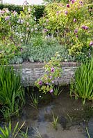 Des roses à l'ancienne pendent au-dessus de la rivière Bride alors qu'elle longe l'extrémité inférieure du jardin, plantée de géraniums robustes et de menthe verte. Jardins clos de Littlebredy, Dorset