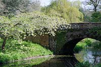 Pont avec fleur surplombant l'eau - Minterne Gardens, Dorset