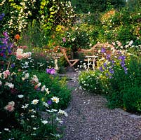 Roses, lavande, origan, verveine, campanule, marguerite, géranium et astrantia remplissent ce jardin de parfum et de couleur en juin.